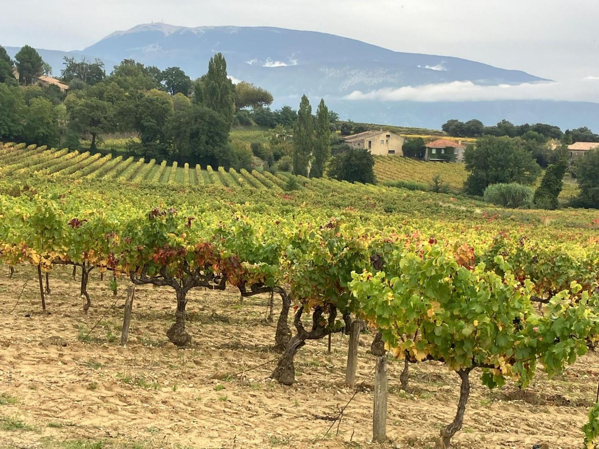 La Clairiere Βίλα Pierrelongue Εξωτερικό φωτογραφία
