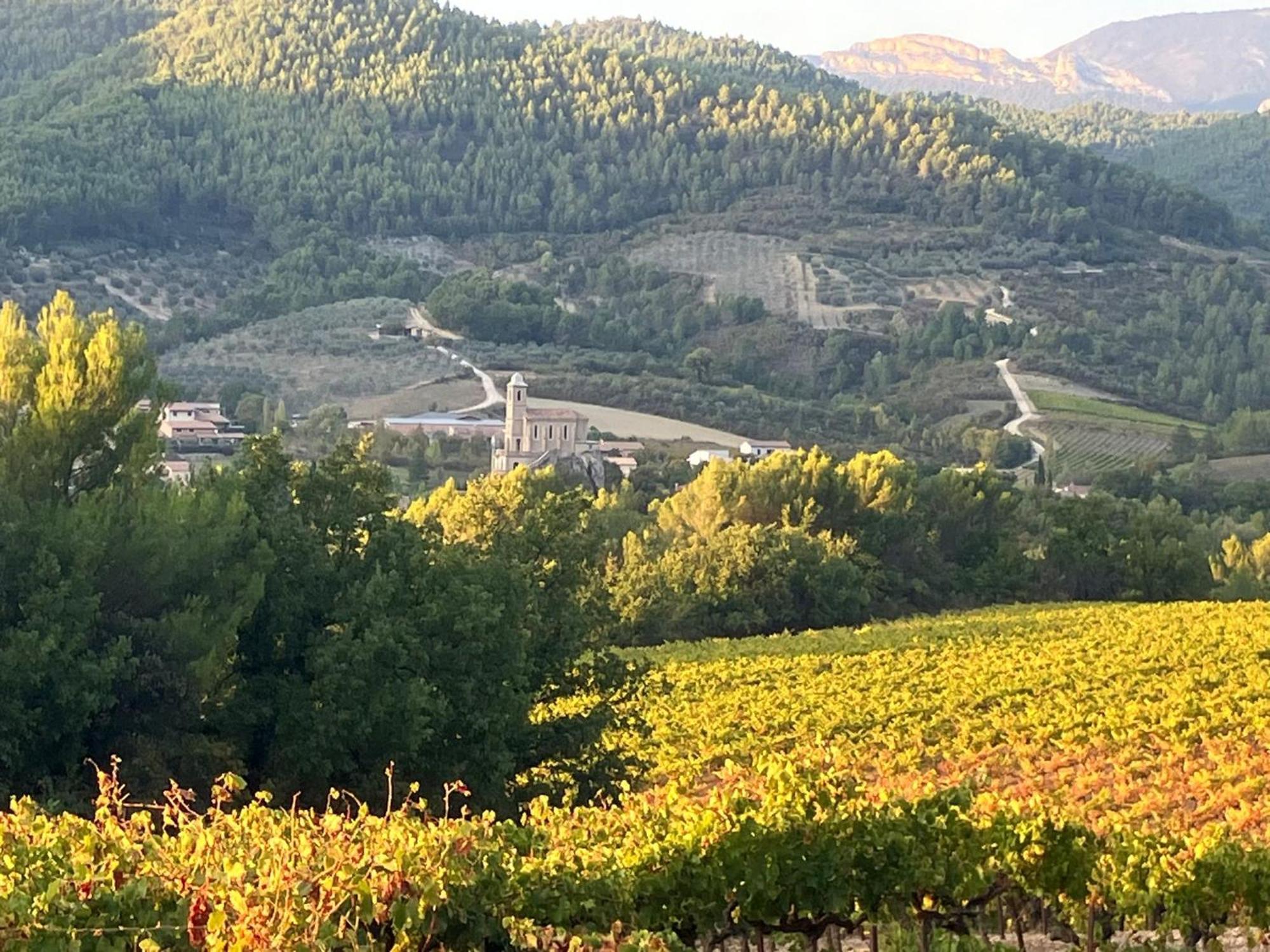 La Clairiere Βίλα Pierrelongue Εξωτερικό φωτογραφία