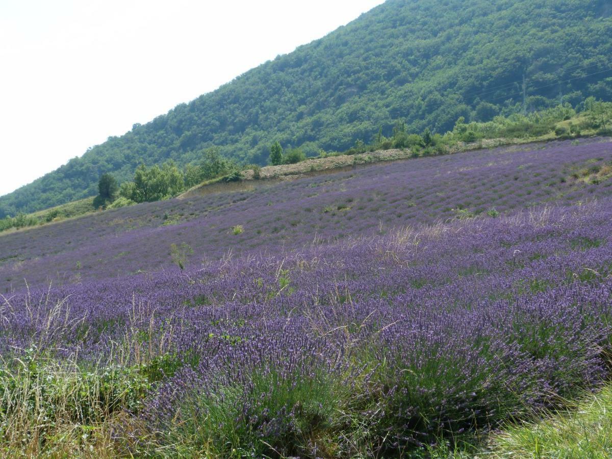 La Clairiere Βίλα Pierrelongue Εξωτερικό φωτογραφία